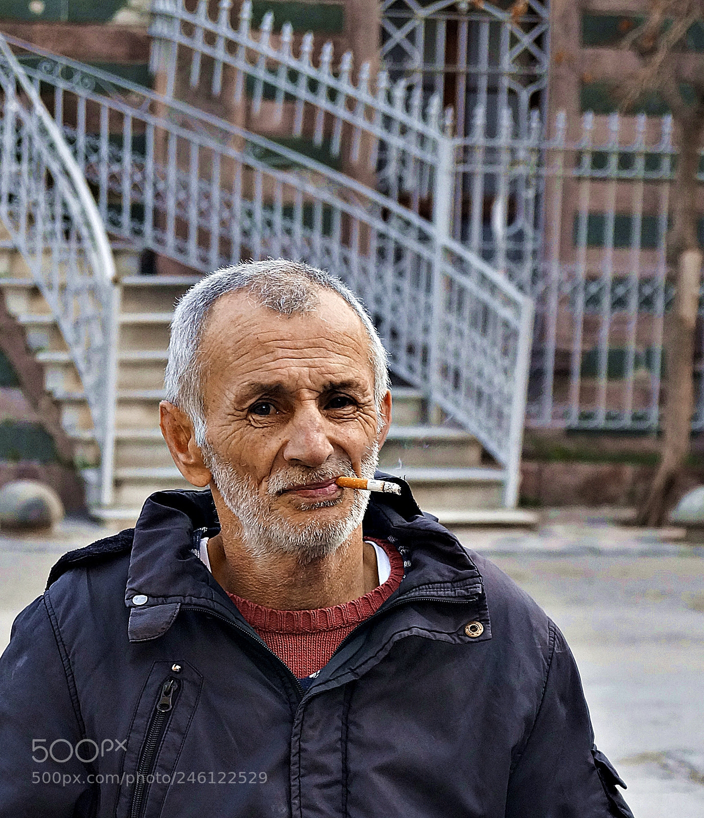 Sony SLT-A58 sample photo. Untitled photography