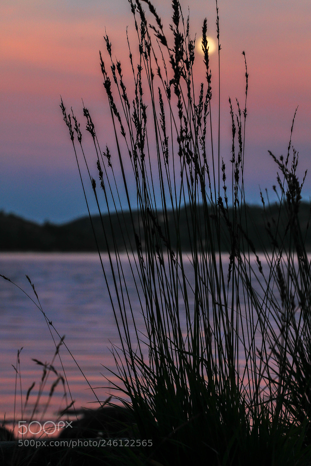Canon EOS 7D sample photo. Moonlight photography