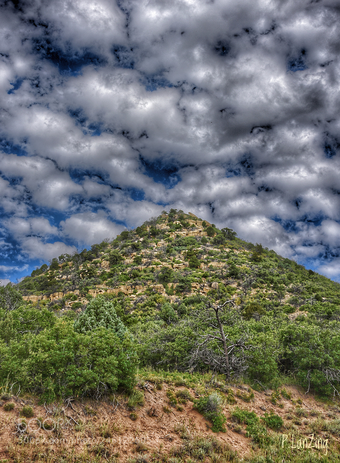 Nikon D810 sample photo. Stoney hill, colorado photography