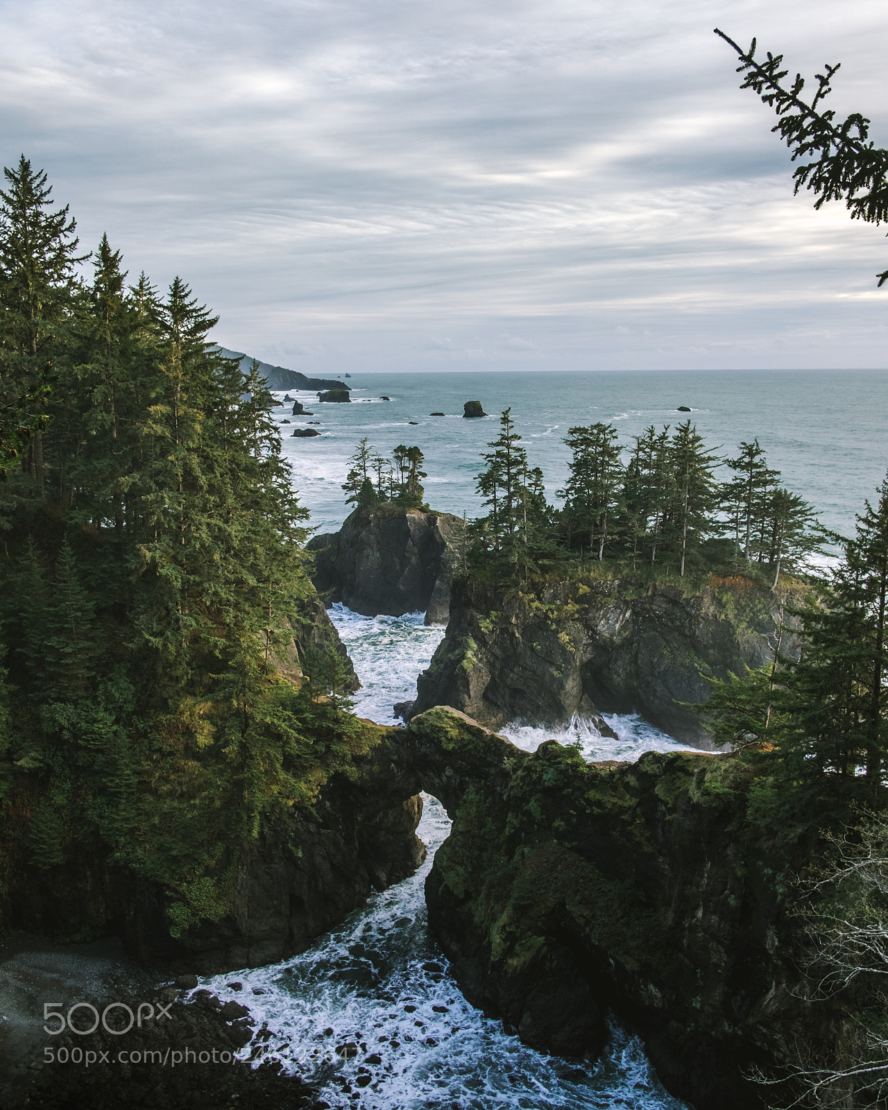 Fujifilm X-T20 sample photo. Samuel h boardman, oregon photography