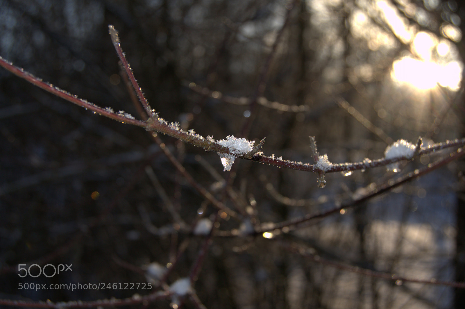 Nikon D3100 sample photo. Erstarrte tropfen photography