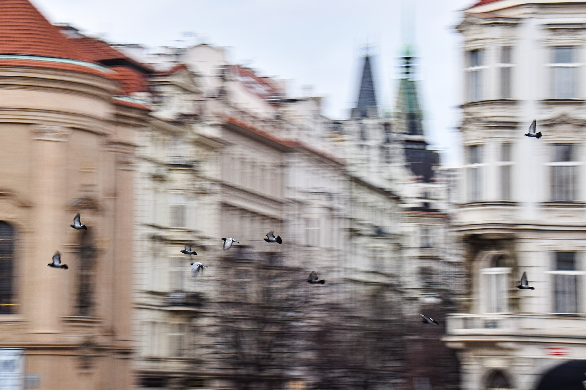 Nikon D5300 + Tamron 18-270mm F3.5-6.3 Di II VC PZD sample photo. Fighter squadron of pigeons is raiding the old town square in prague photography