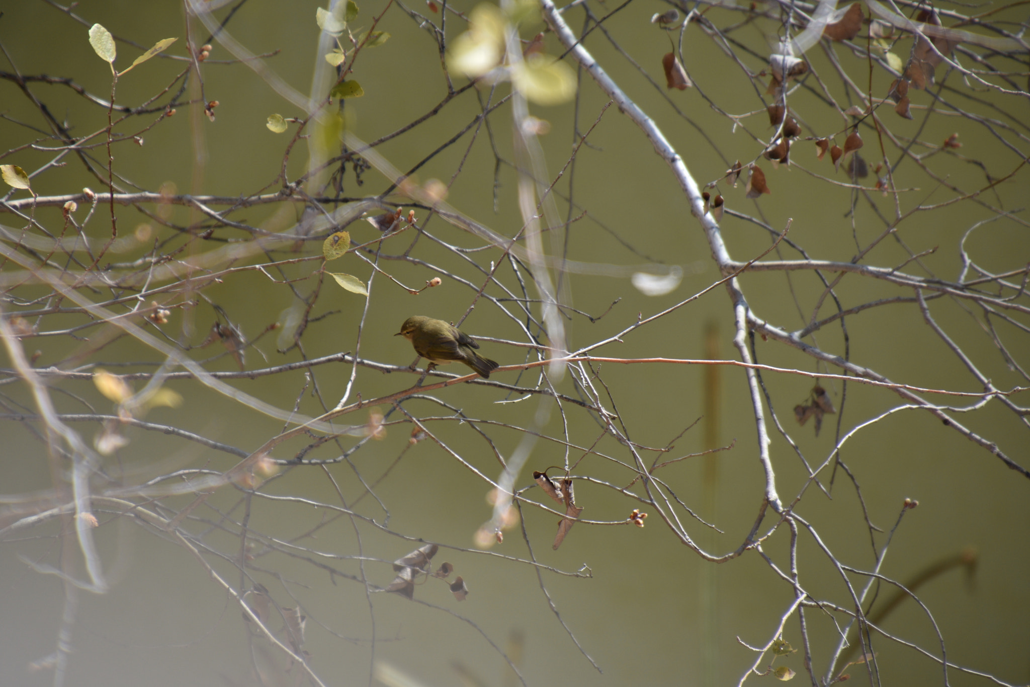 Nikon D3400 sample photo