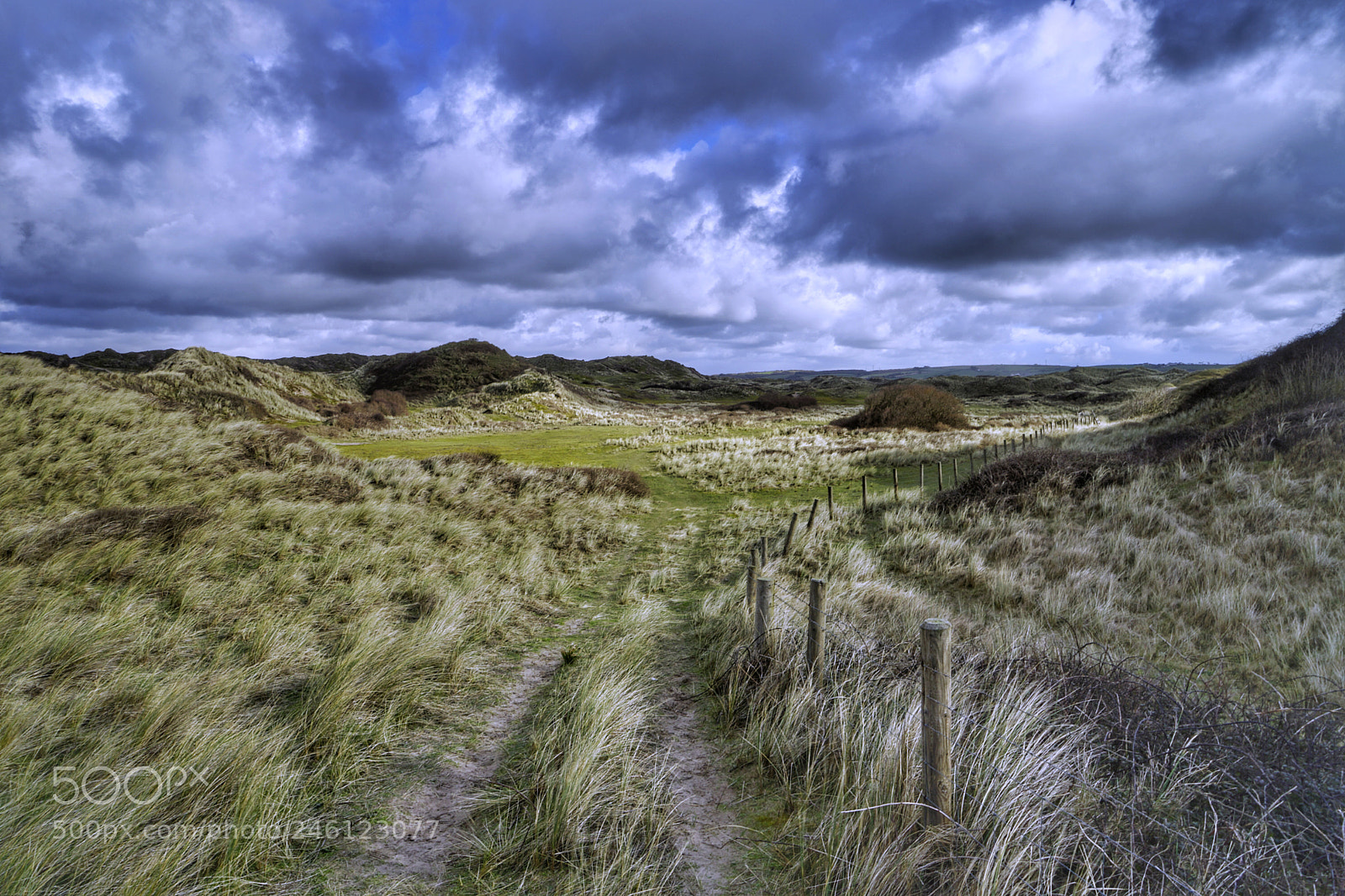 Sony a7 sample photo. Braunton burrows photography