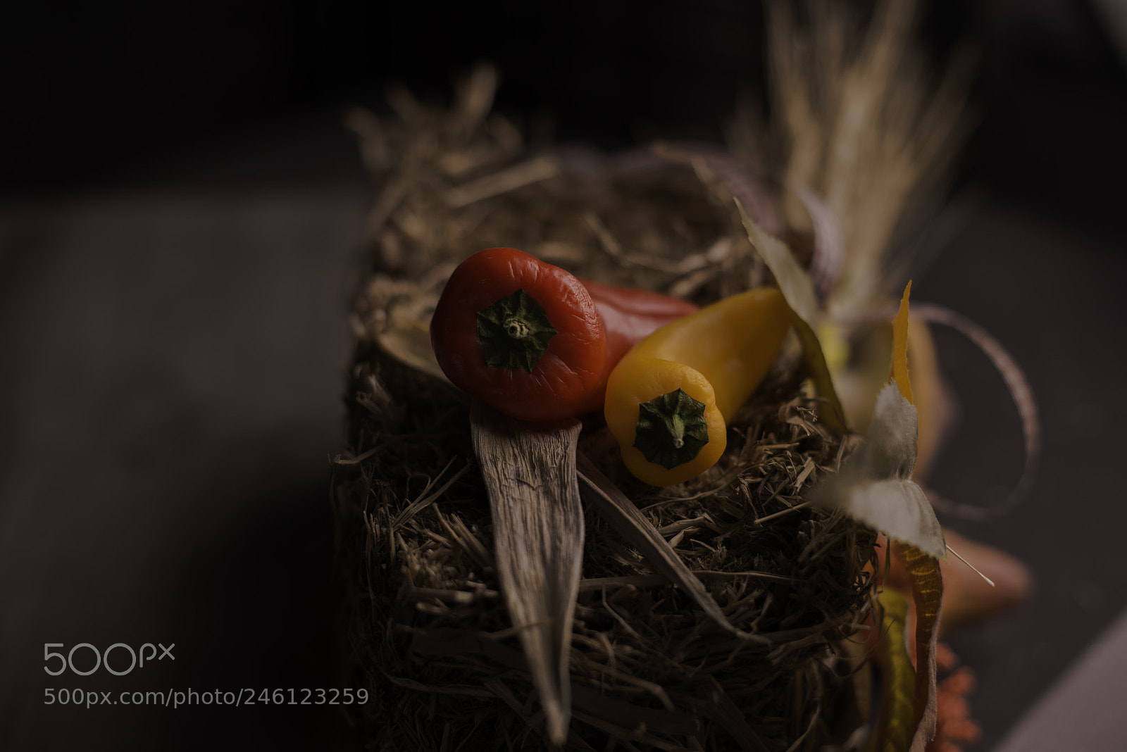 Nikon D800E sample photo. Scharfe sache photography