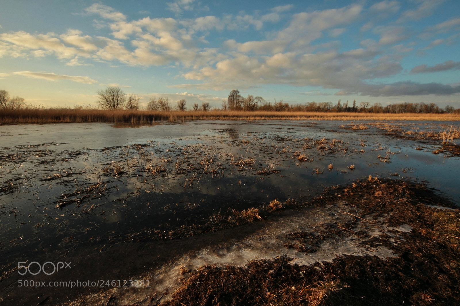 Canon EOS-1D Mark IV sample photo. Untitled photography