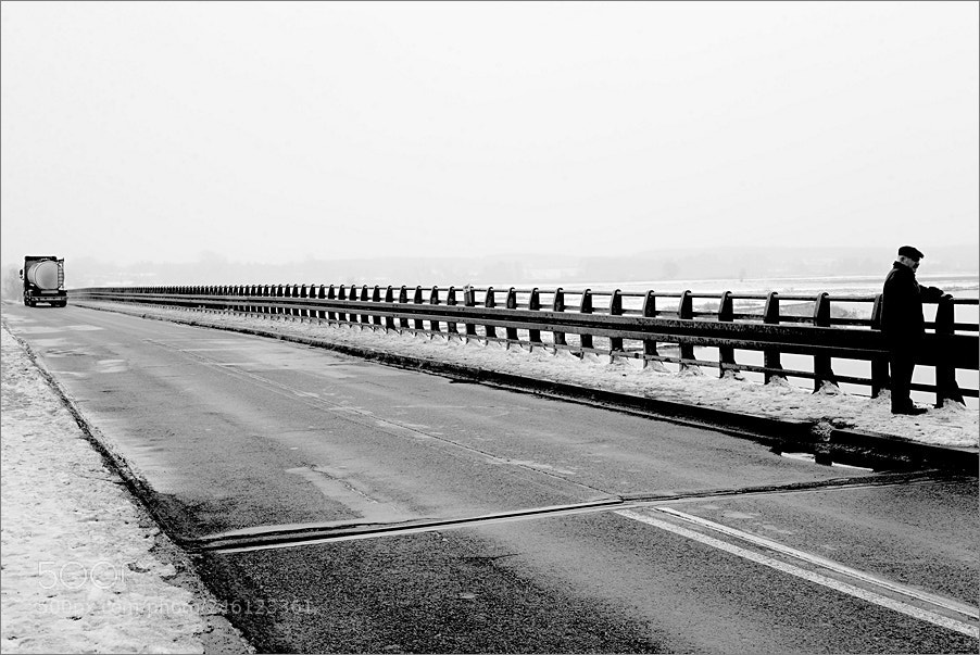 Nikon D610 sample photo. On the bridge photography