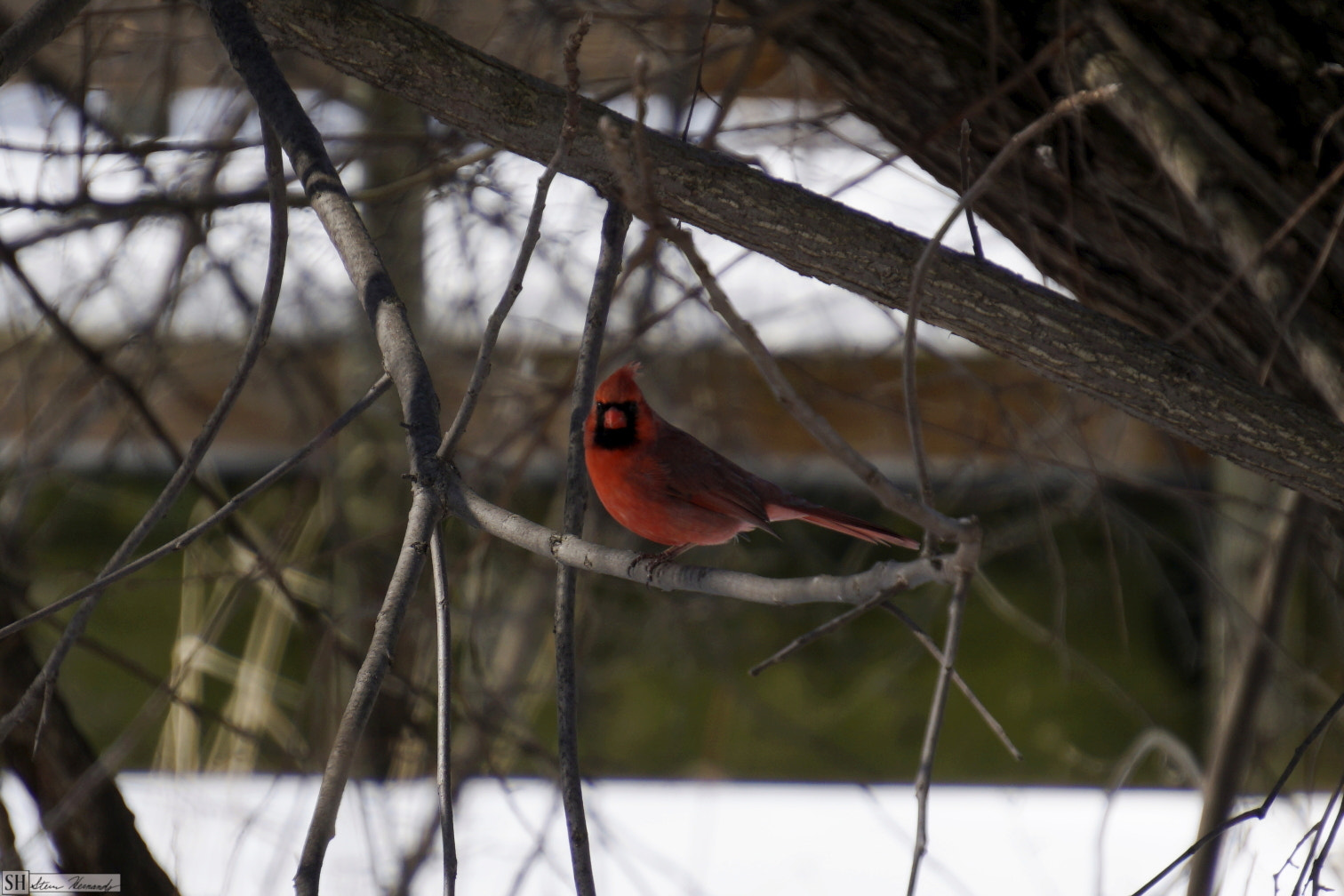 Sony E 55-210mm F4.5-6.3 OSS sample photo. () photography