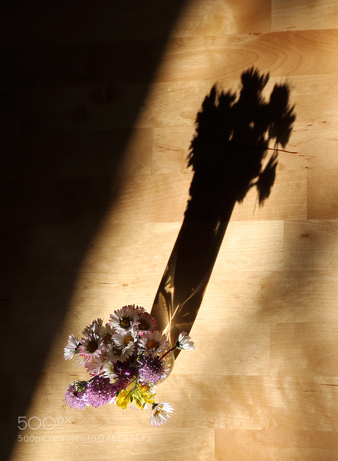 Canon EOS 6D Mark II sample photo. Winter flowers photography
