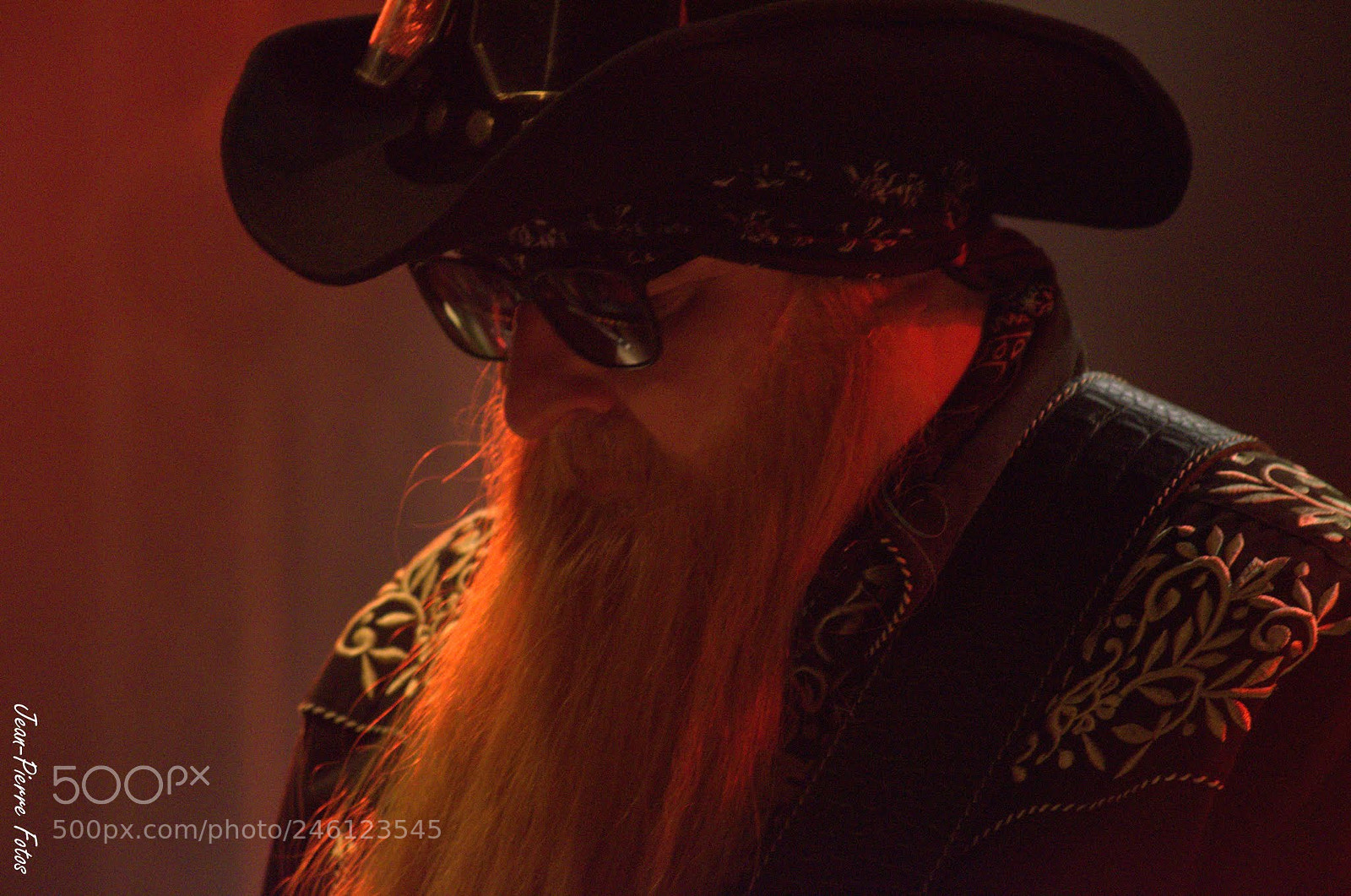 Nikon D5100 sample photo. Zz-gitarre photography
