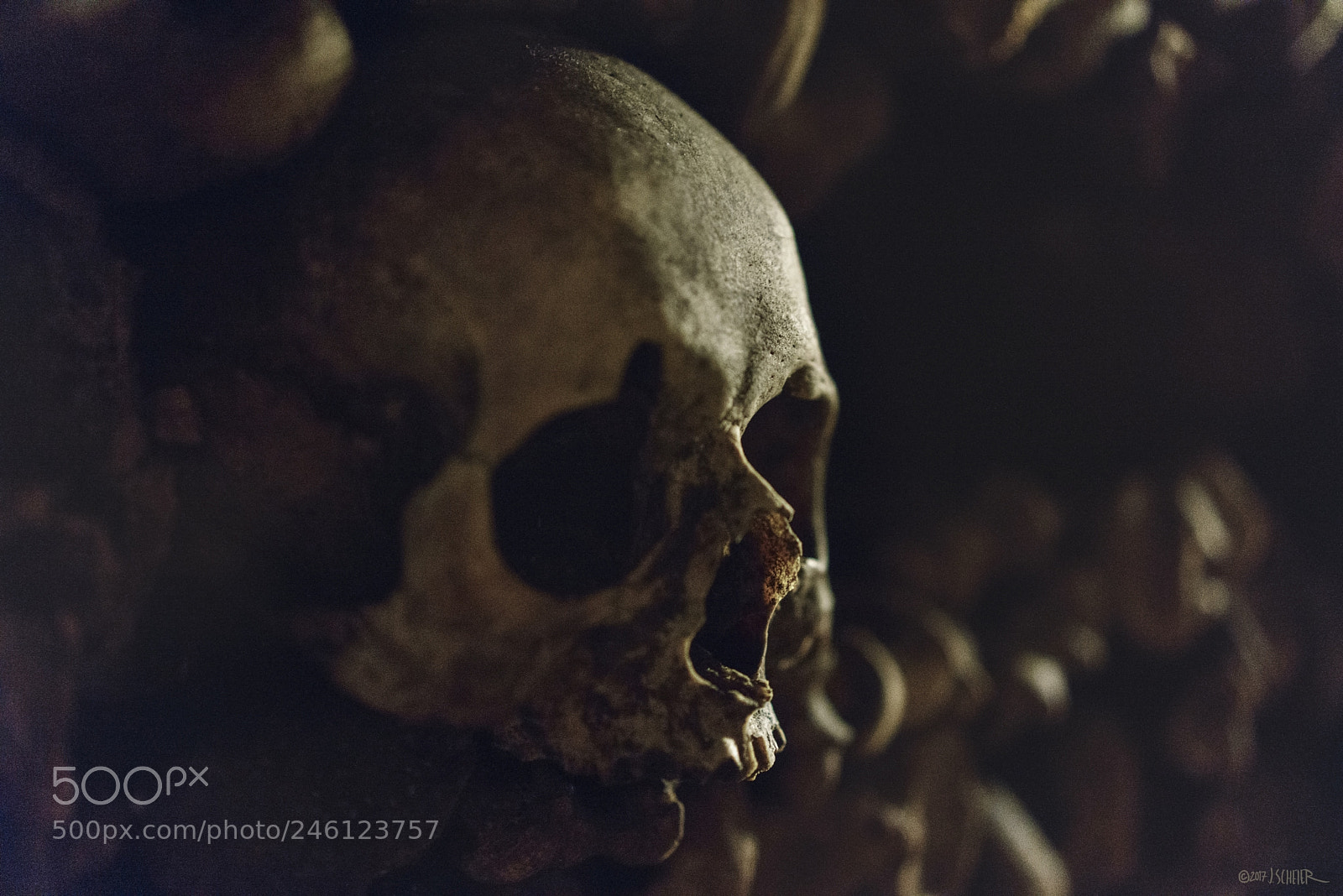 Sony a7R sample photo. Portrait in the catacombs photography