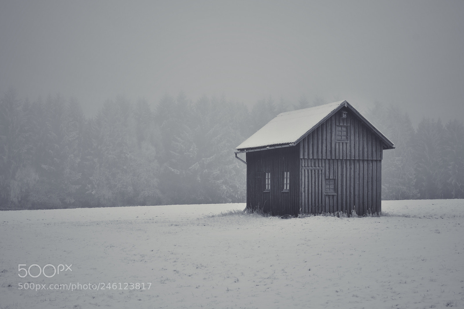 Nikon D500 sample photo. Grey photography