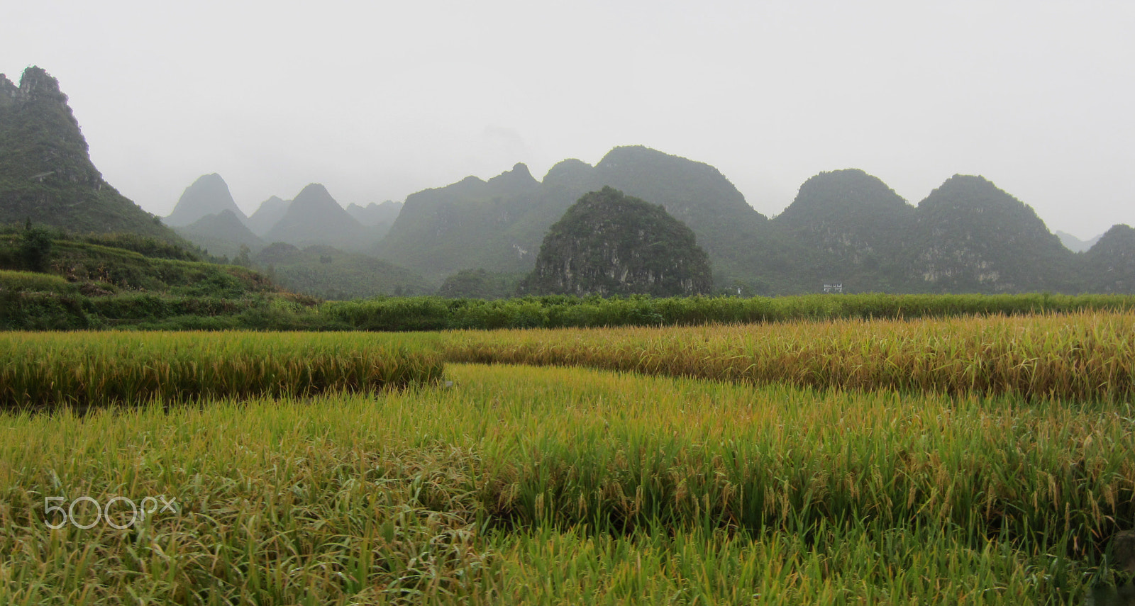 Canon PowerShot ELPH 300 HS (IXUS 220 HS / IXY 410F) sample photo. Farmland and mountains photography