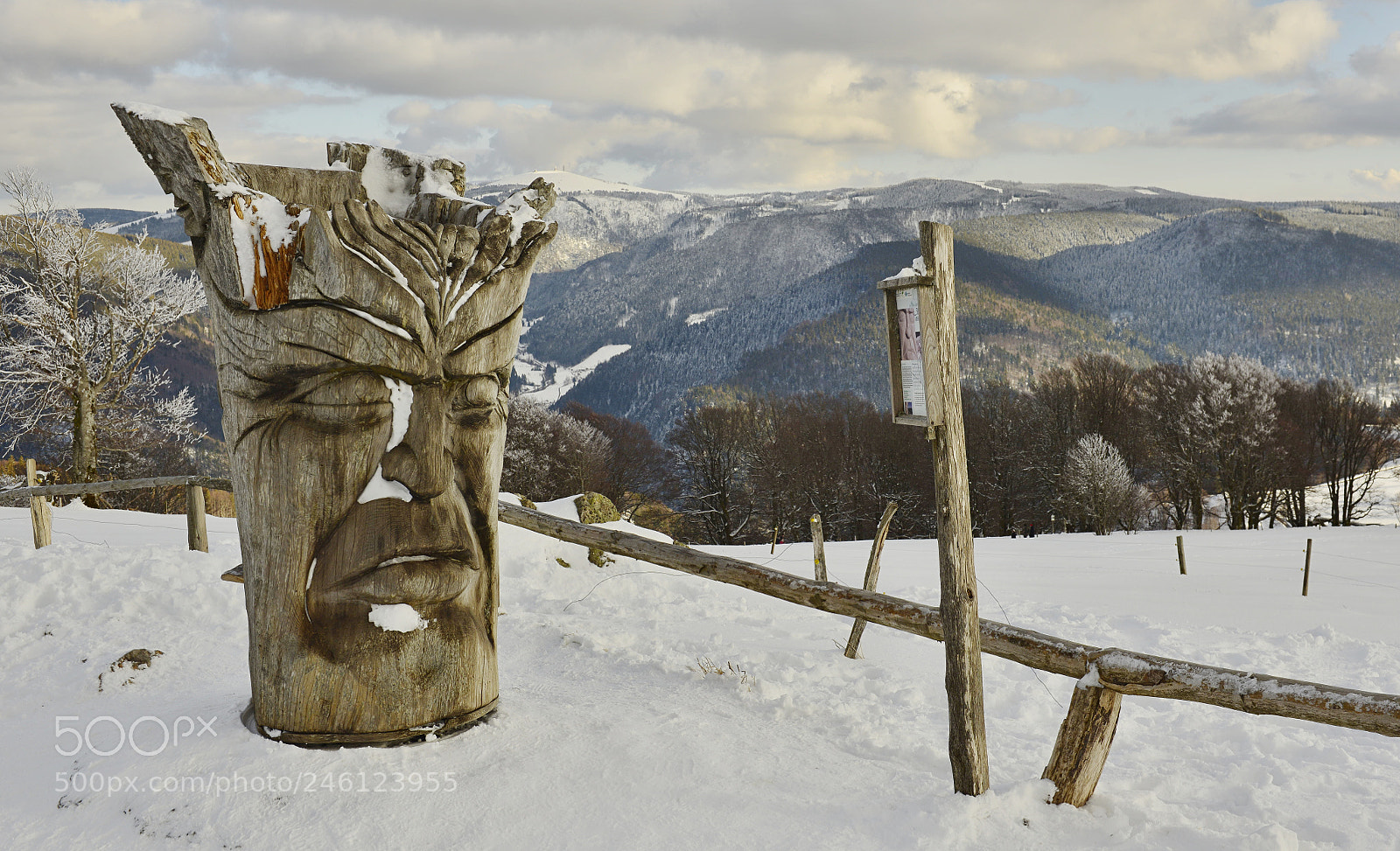 Nikon D800 sample photo. Hlava photography