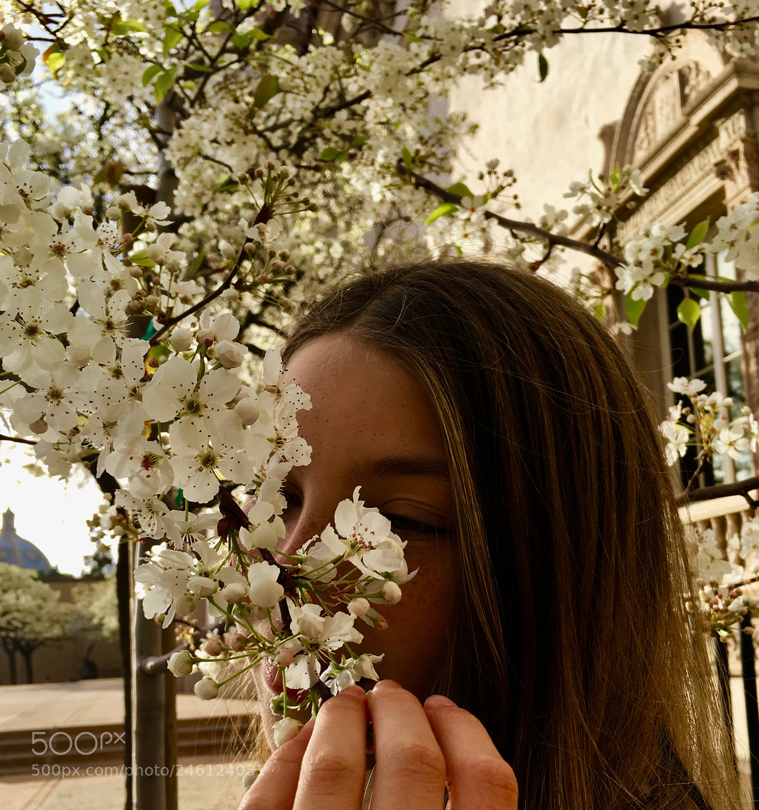 Apple iPhone 6s sample photo. Flower girl photography