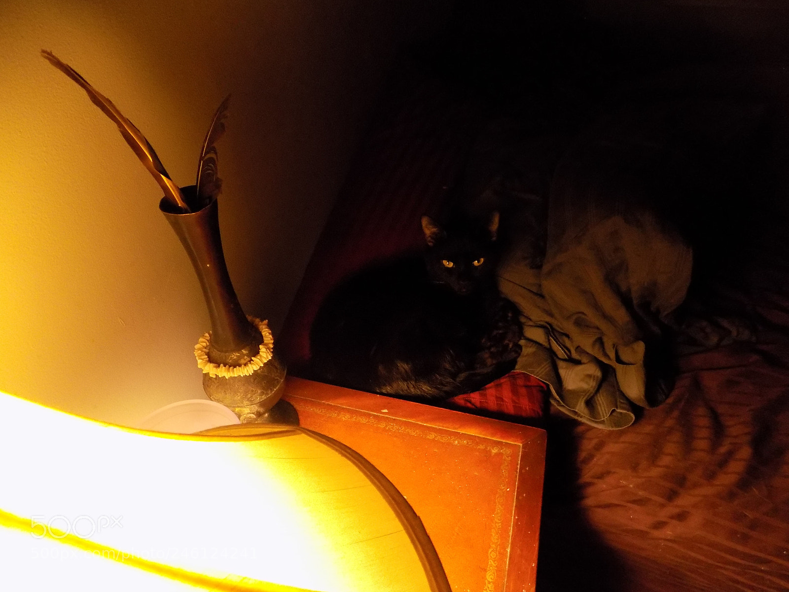 Nikon COOLPIX L340 sample photo. 5lb menace photography