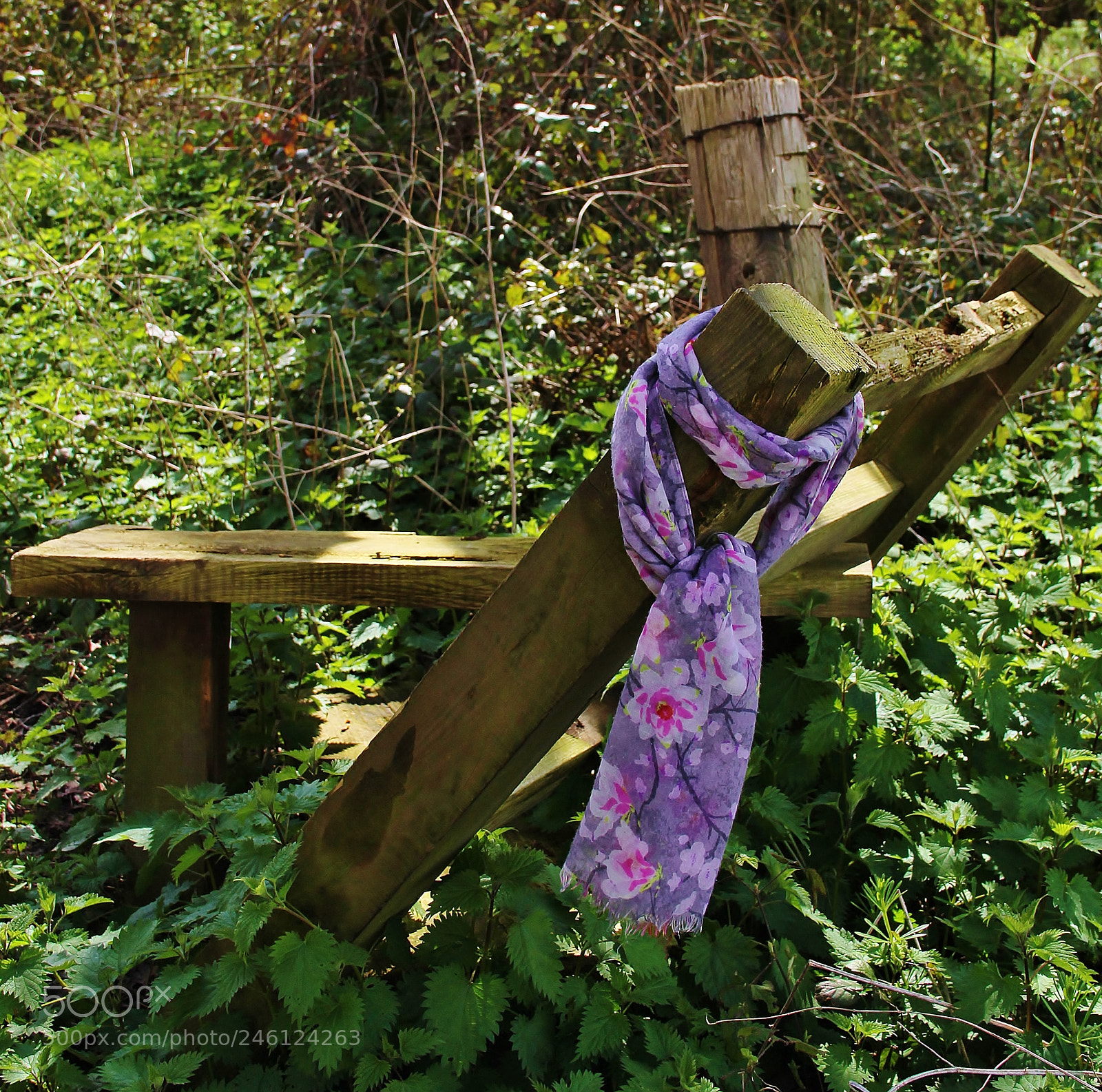 Canon EOS 60D sample photo. Old & forgotten photography