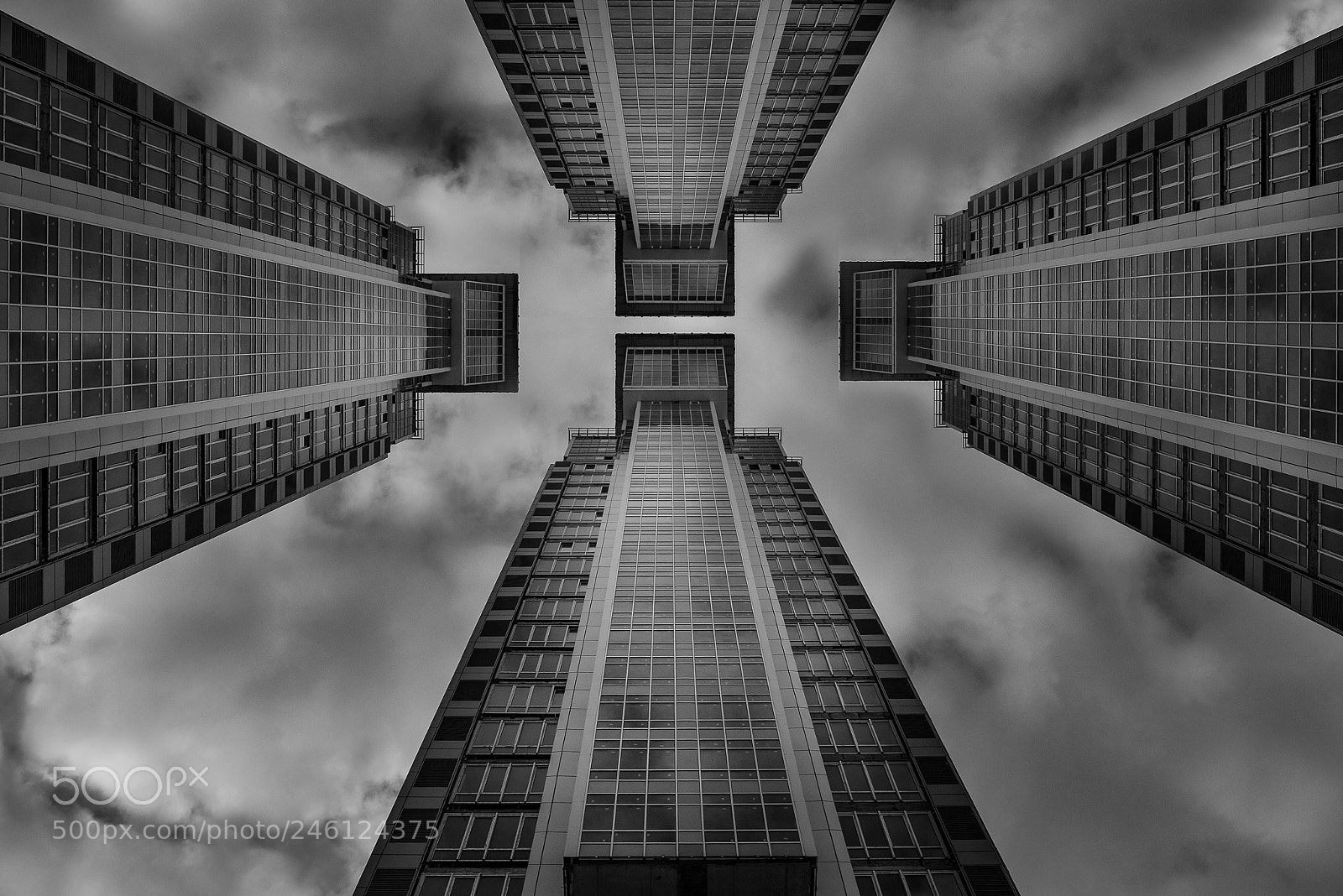 Nikon D810 sample photo. Touch the sky photography
