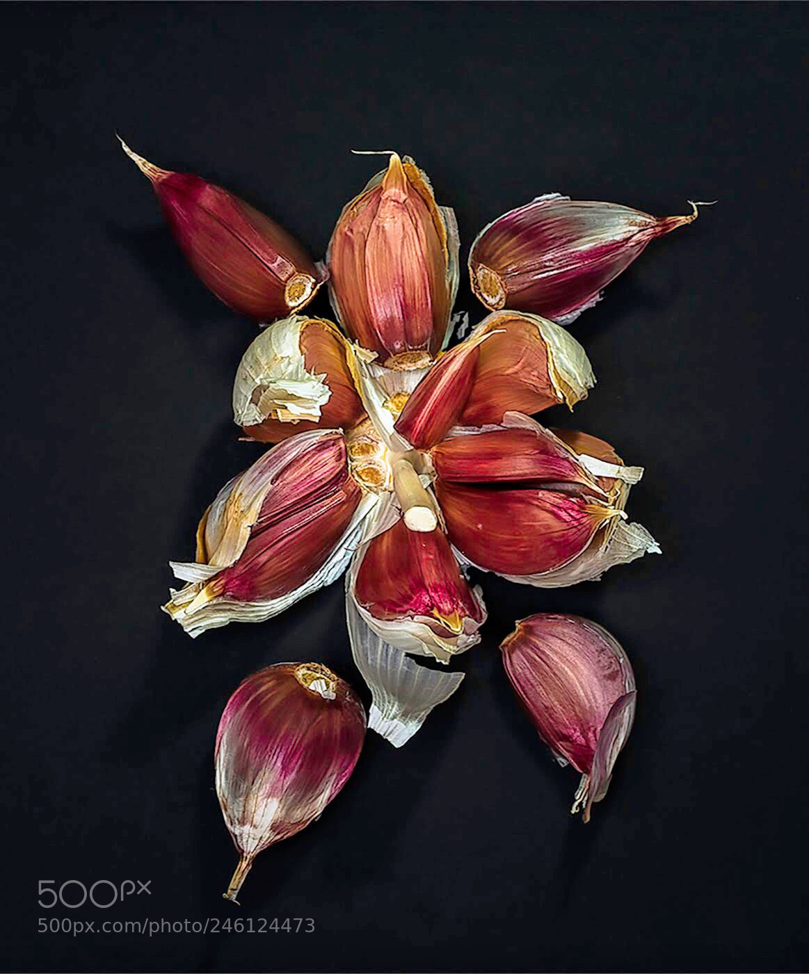 Olympus OM-D E-M5 II sample photo. Explosion of garlic photography