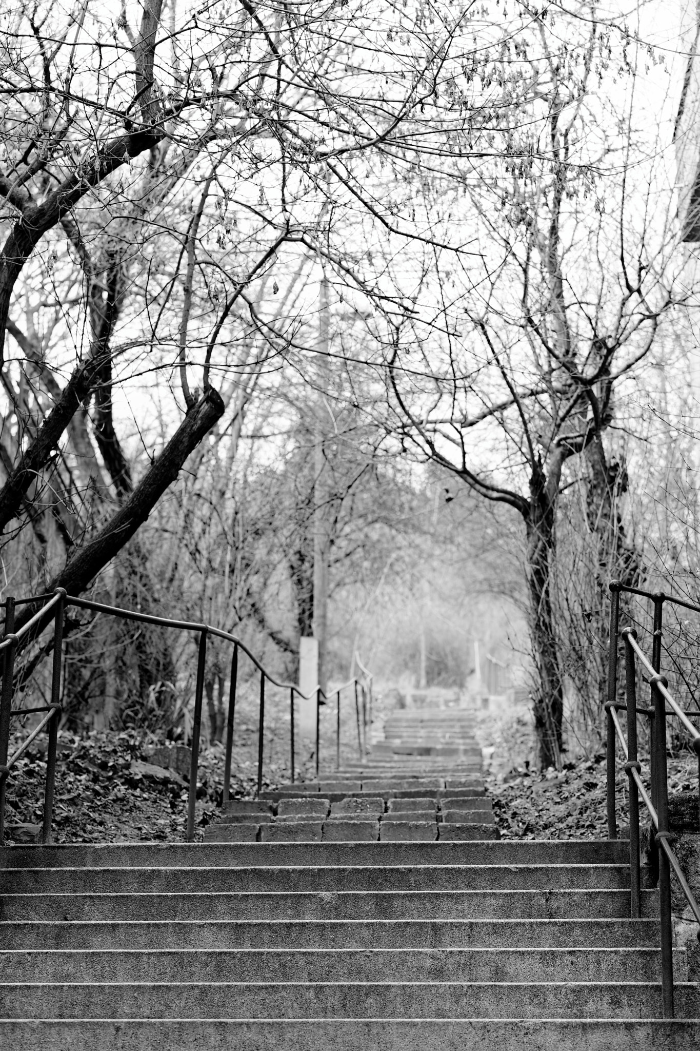 ZEISS Batis 85mm F1.8 sample photo. Stairs to the buda hills photography