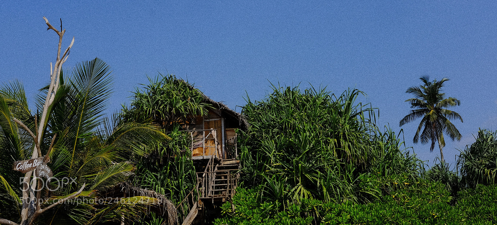 Fujifilm X-T1 sample photo. Jungle house photography