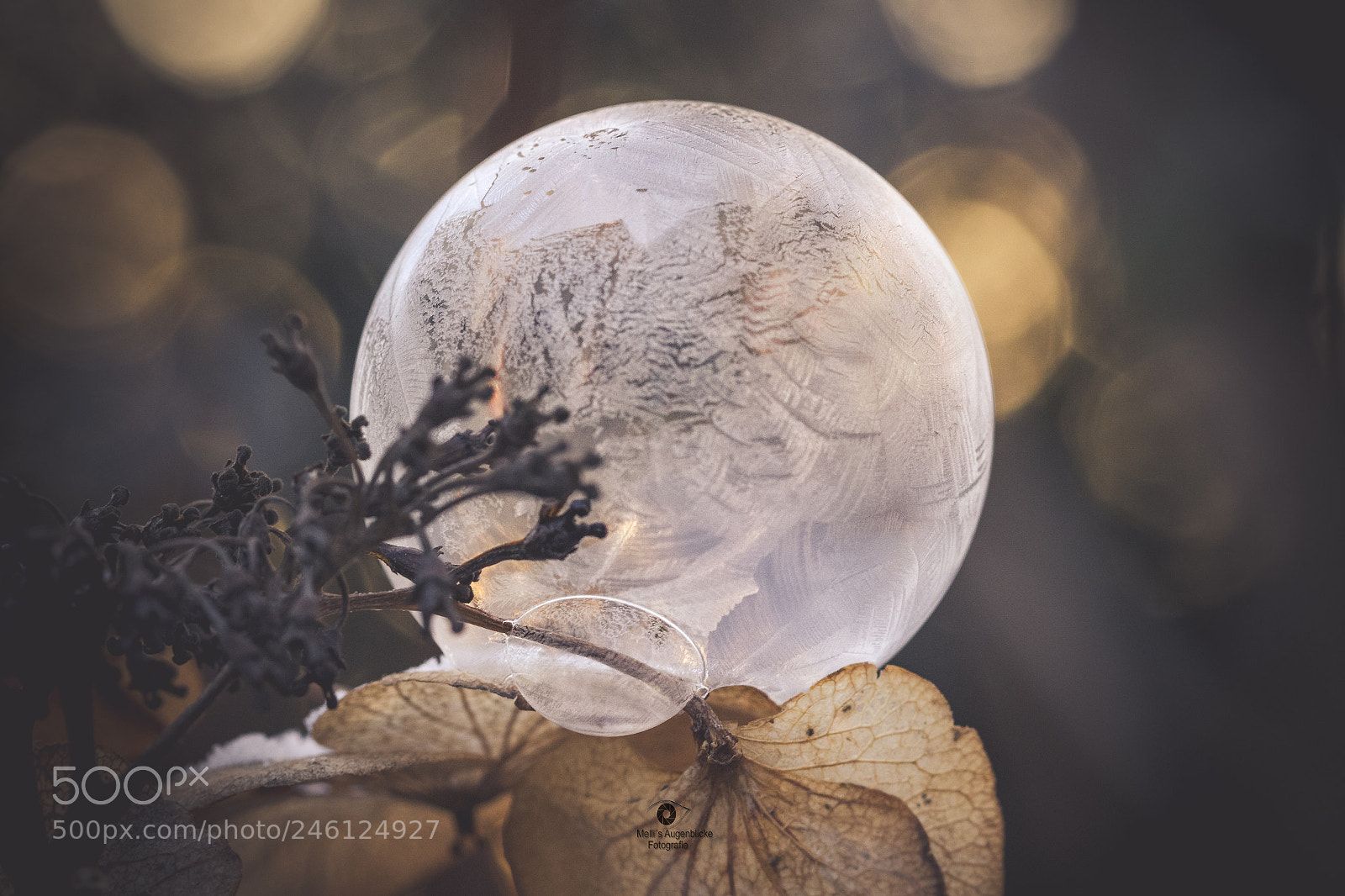 Canon EOS 7D Mark II sample photo. Frozen soap bubble photography