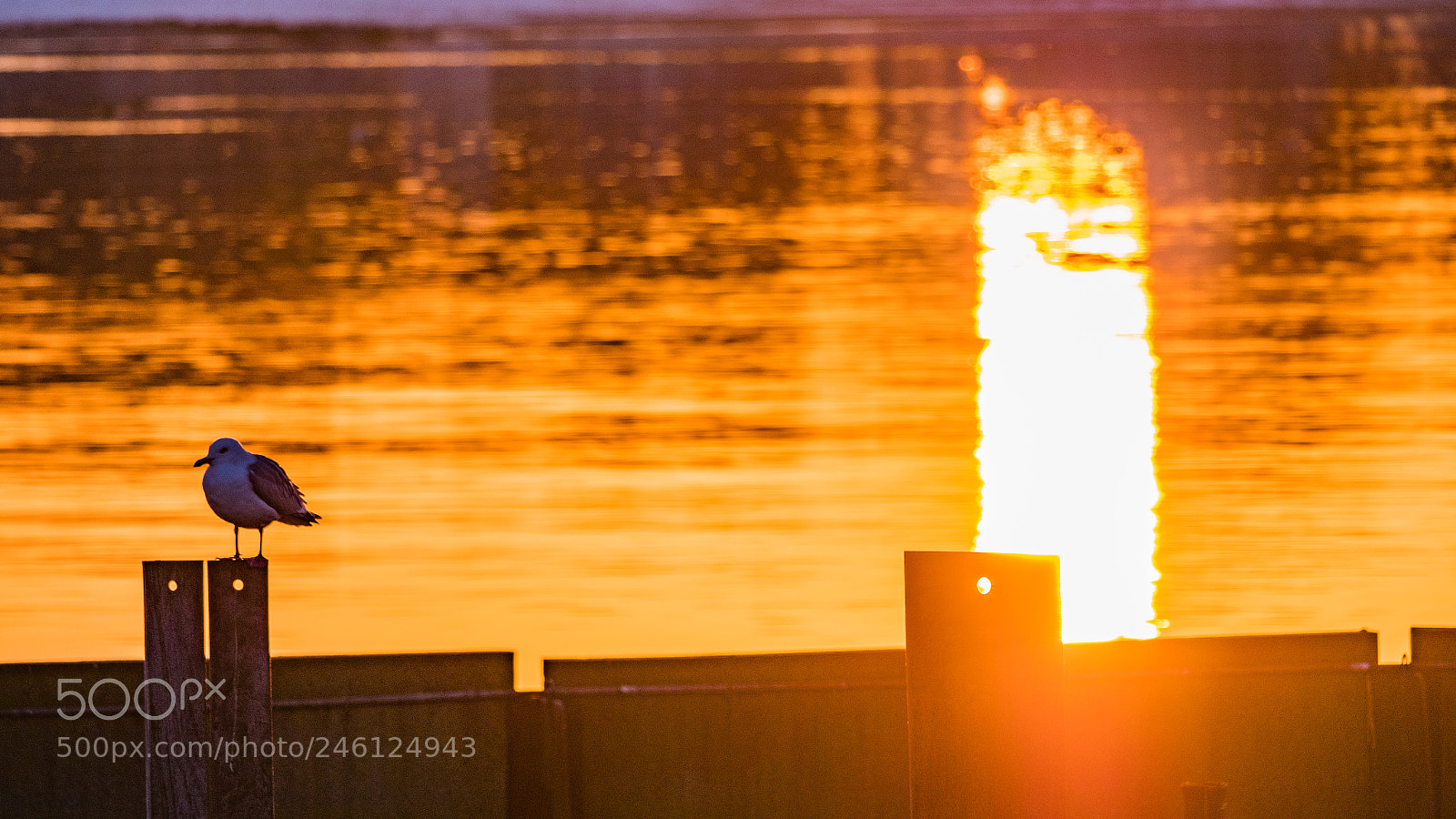 Panasonic Lumix DC-G9 sample photo. Sonnenuntergang photography