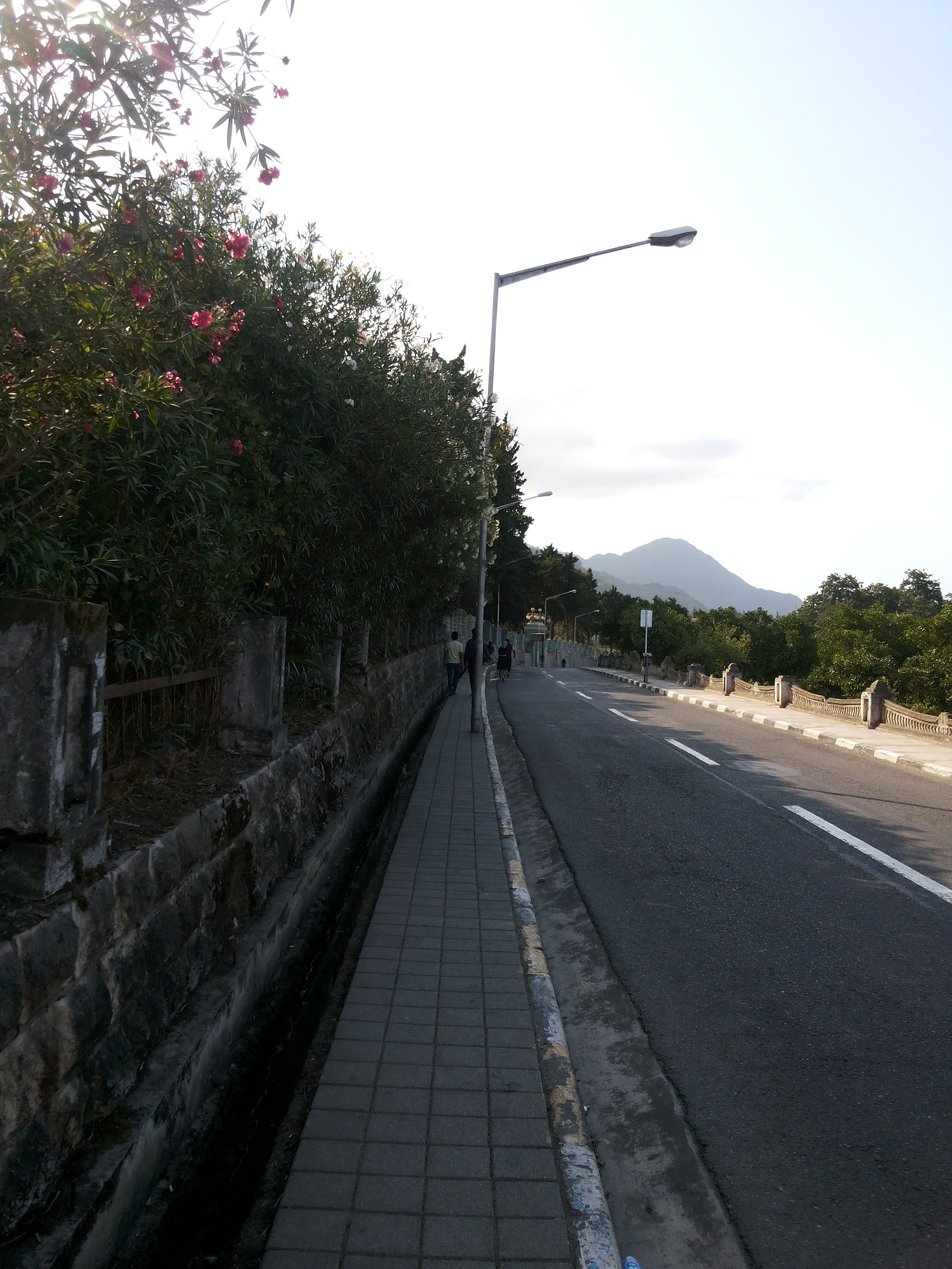 Samsung Galaxy Grand Duos sample photo. Road photography