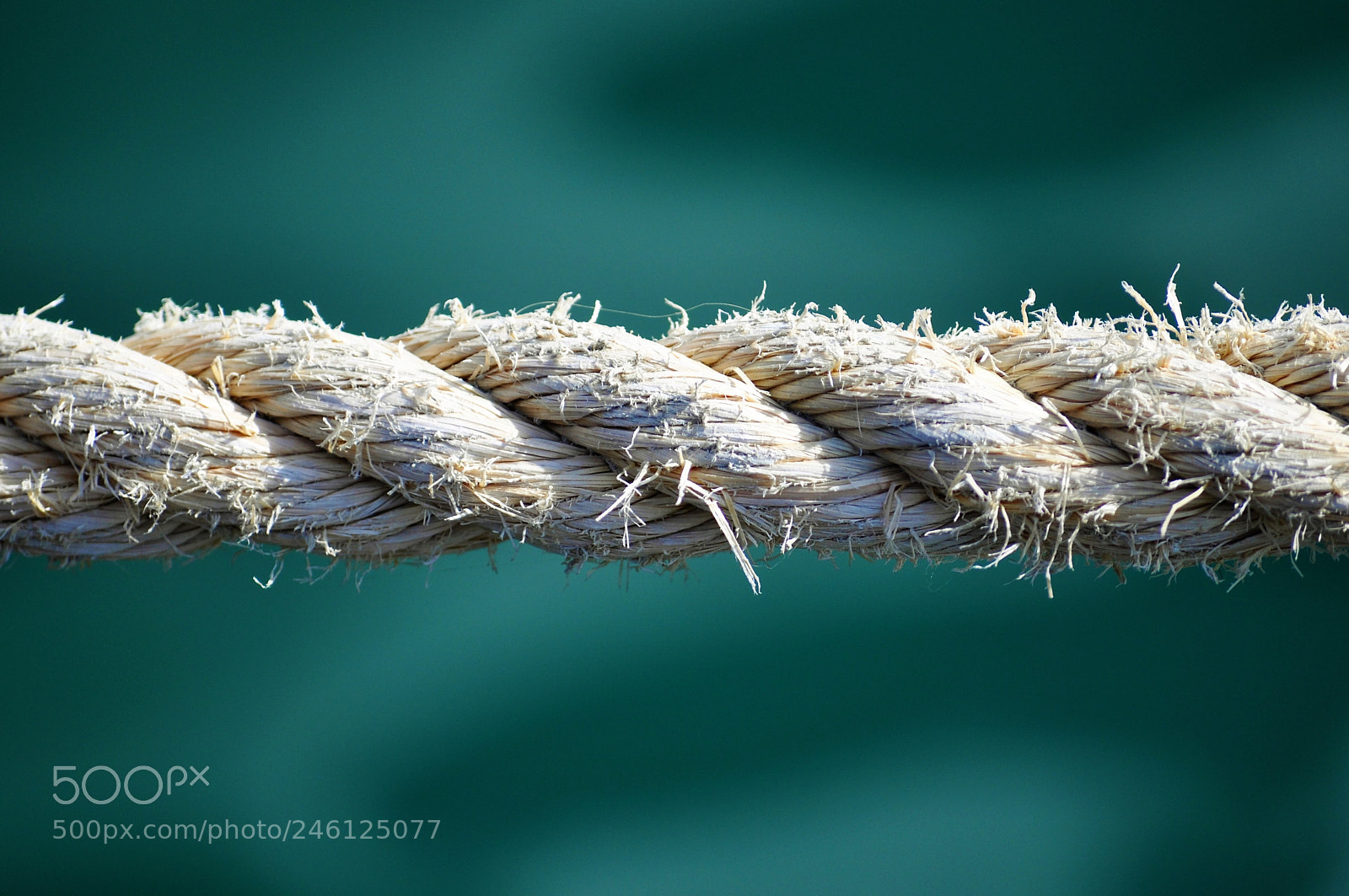 Nikon D5000 sample photo. Stark f r immer-strong photography