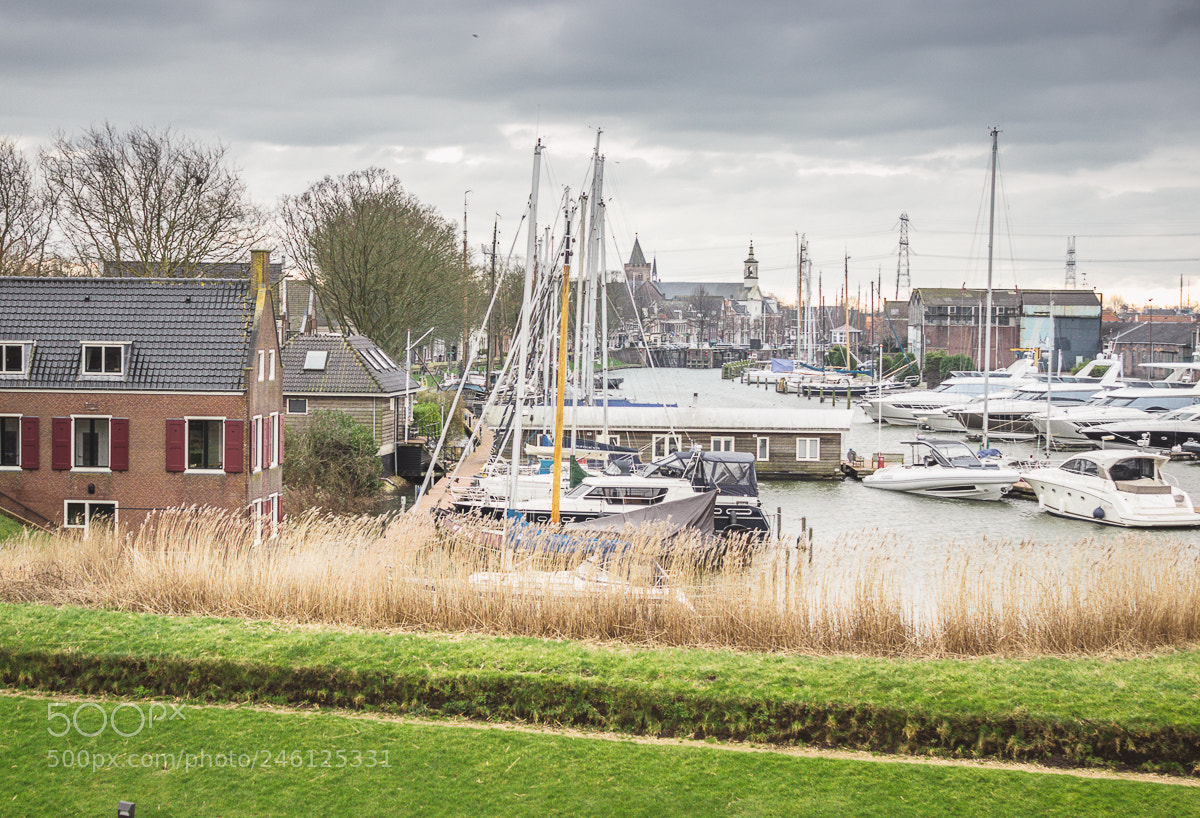 Canon EOS 600D (Rebel EOS T3i / EOS Kiss X5) sample photo. Netherlands photography