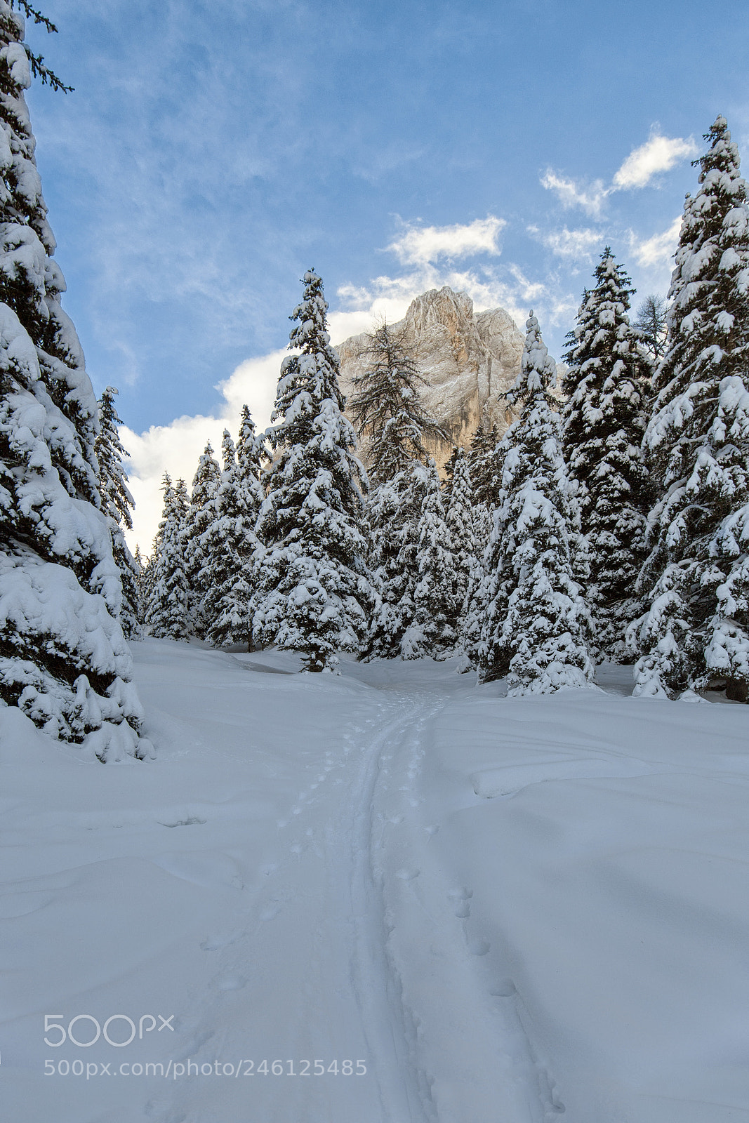 Canon EOS 6D sample photo. Winter landscape photography