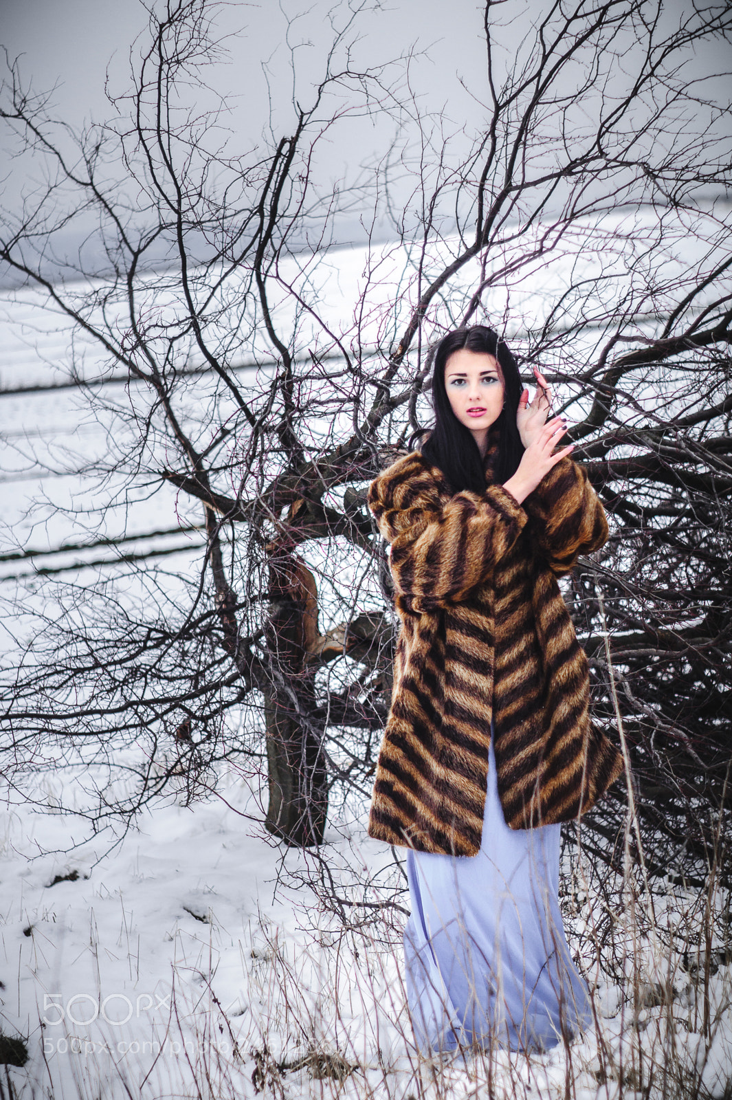 Sony SLT-A58 sample photo. Kamila in snowy weather photography