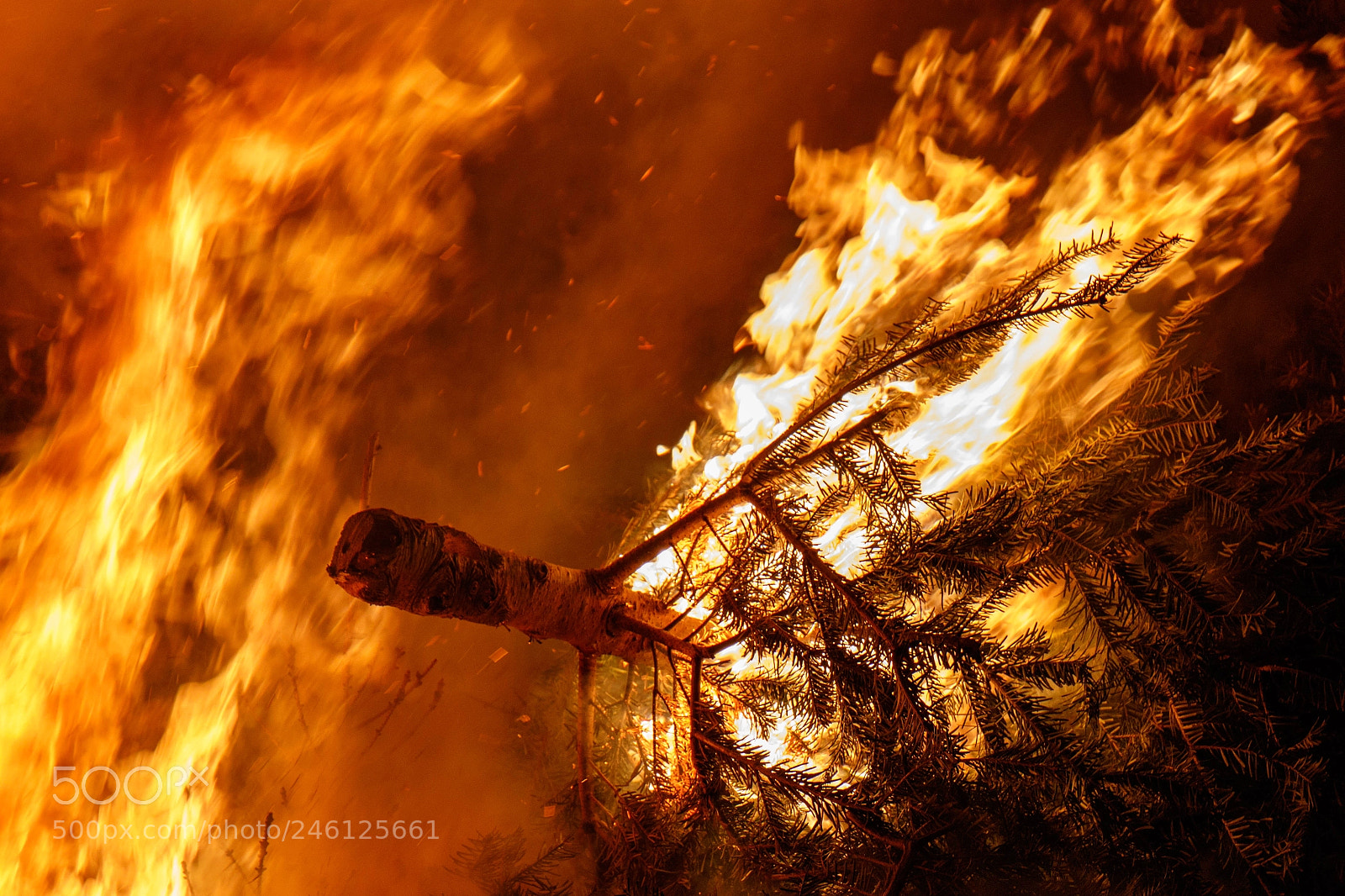 Canon EOS 7D Mark II sample photo. Christmas inferno photography