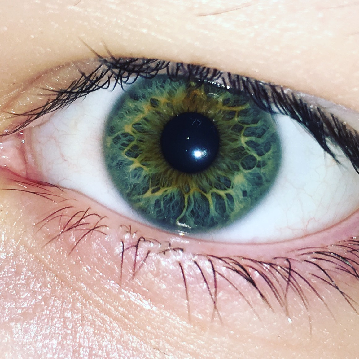 Apple iPhone SE sample photo. My friends eyes....amazing !❤️ photography