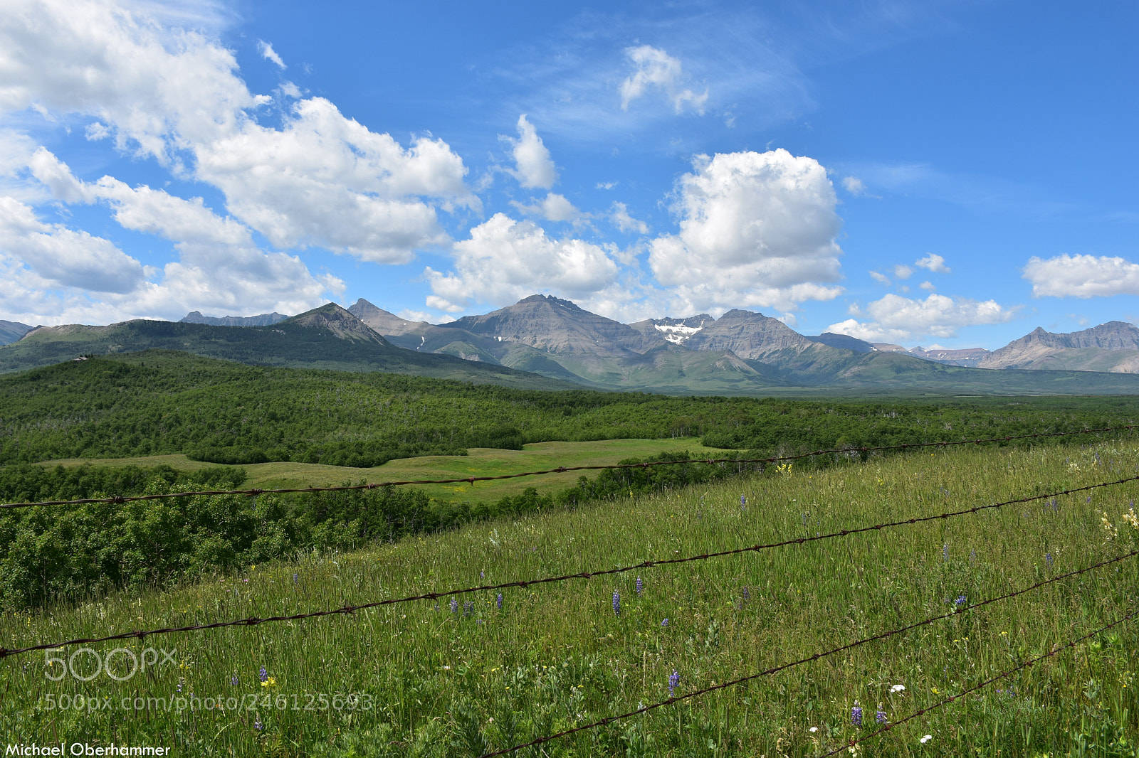 Nikon D7200 sample photo. Where the prairies meet photography