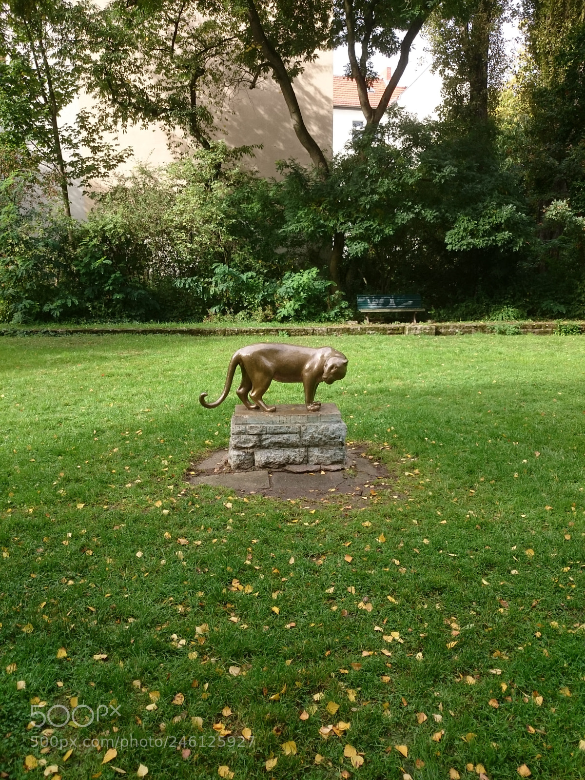 Sony Xperia Z2 sample photo. Panther changing color photography