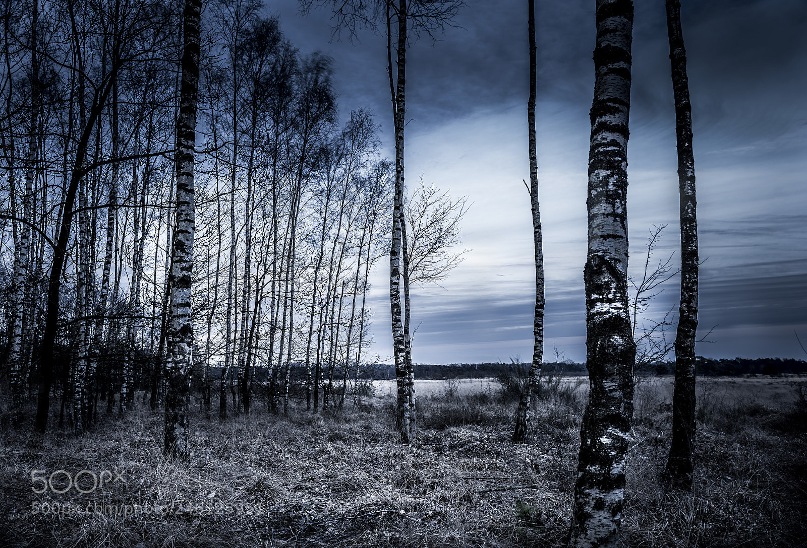 Nikon D810 sample photo. Blue hour photography