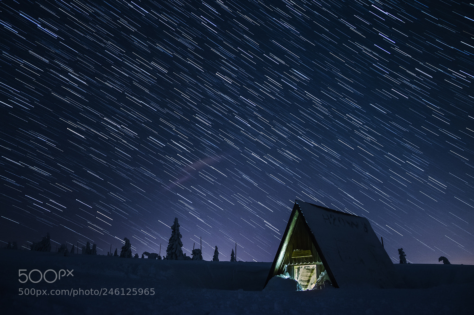 Nikon D5100 sample photo. Cold night in giant photography