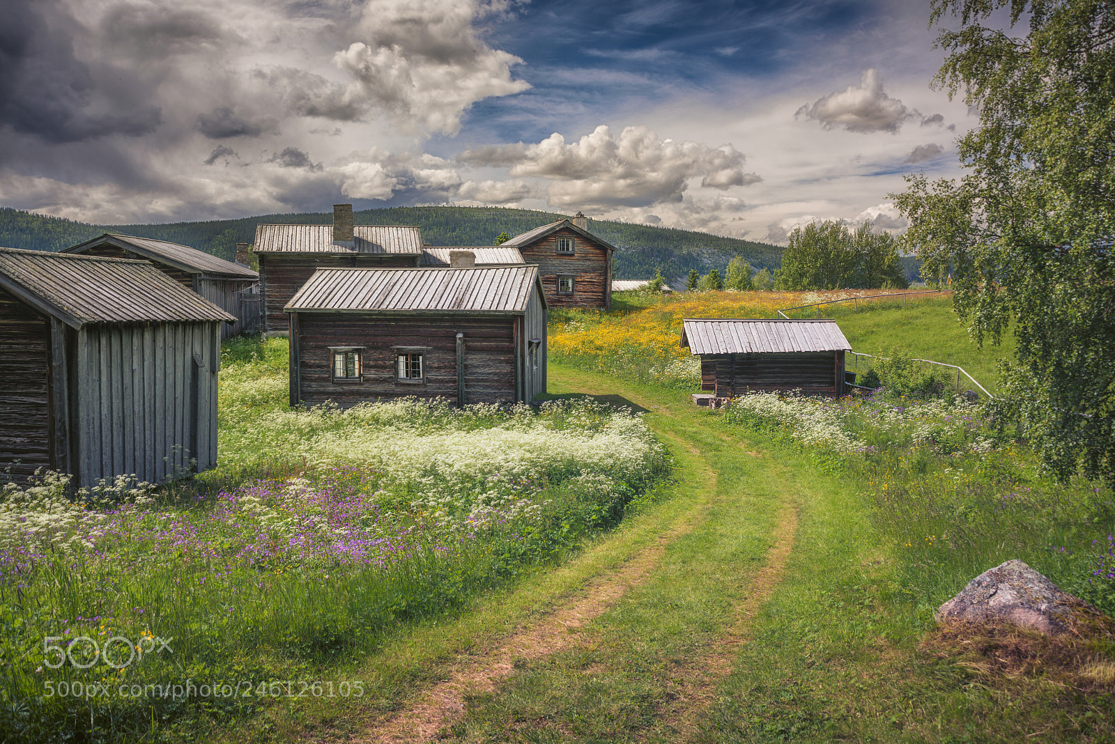 Nikon D800 sample photo. Old scandinavian village photography