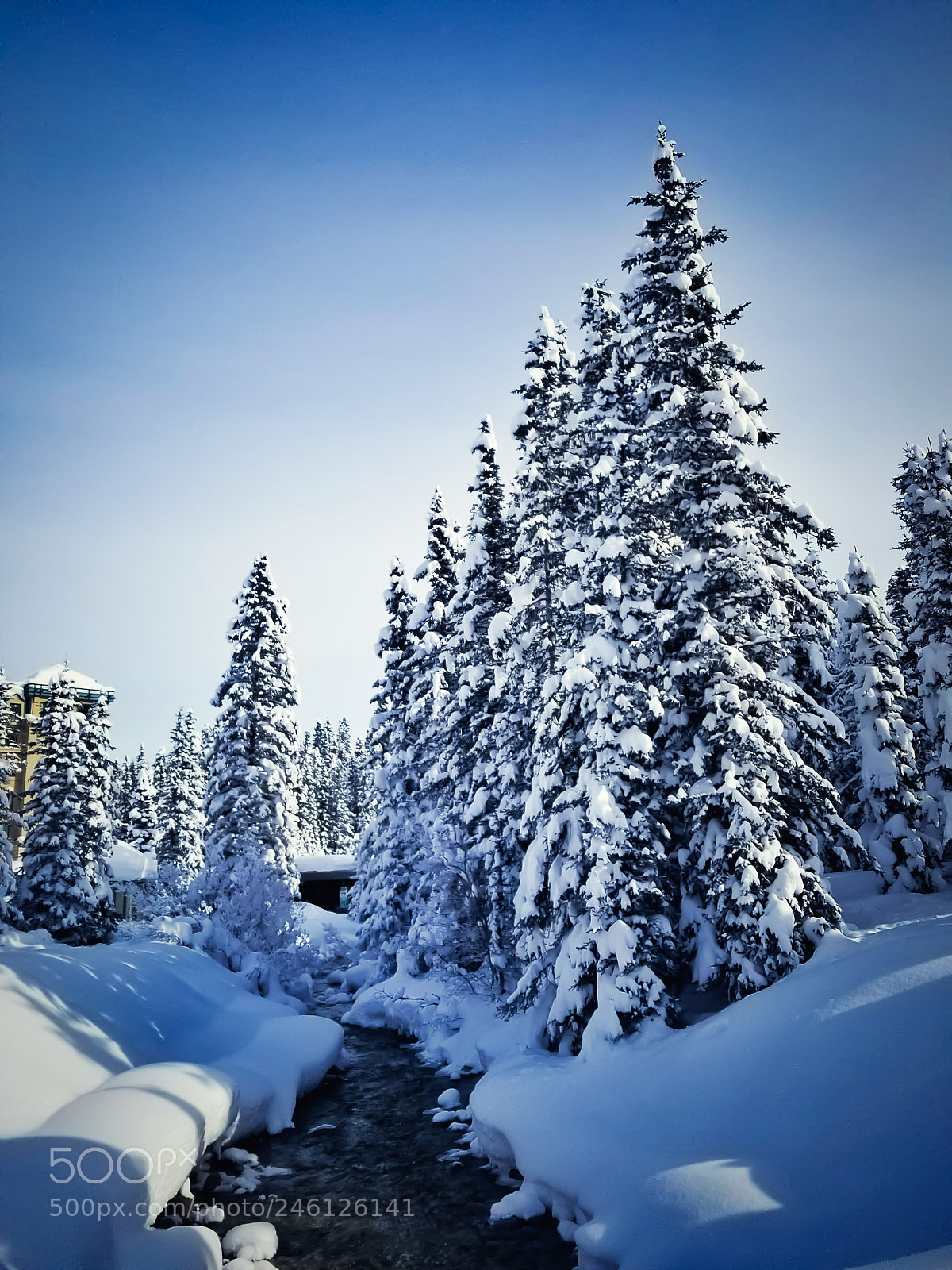 Samsung Galaxy S8 sample photo. Winter wonderland-7 photography