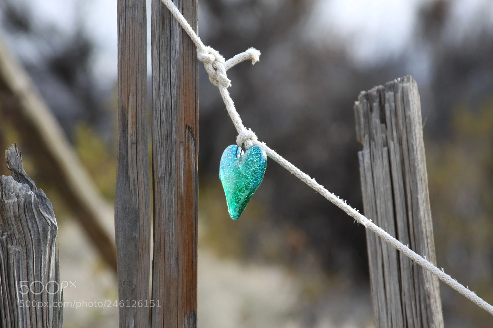 Canon EOS 50D sample photo. Blue and green heart photography