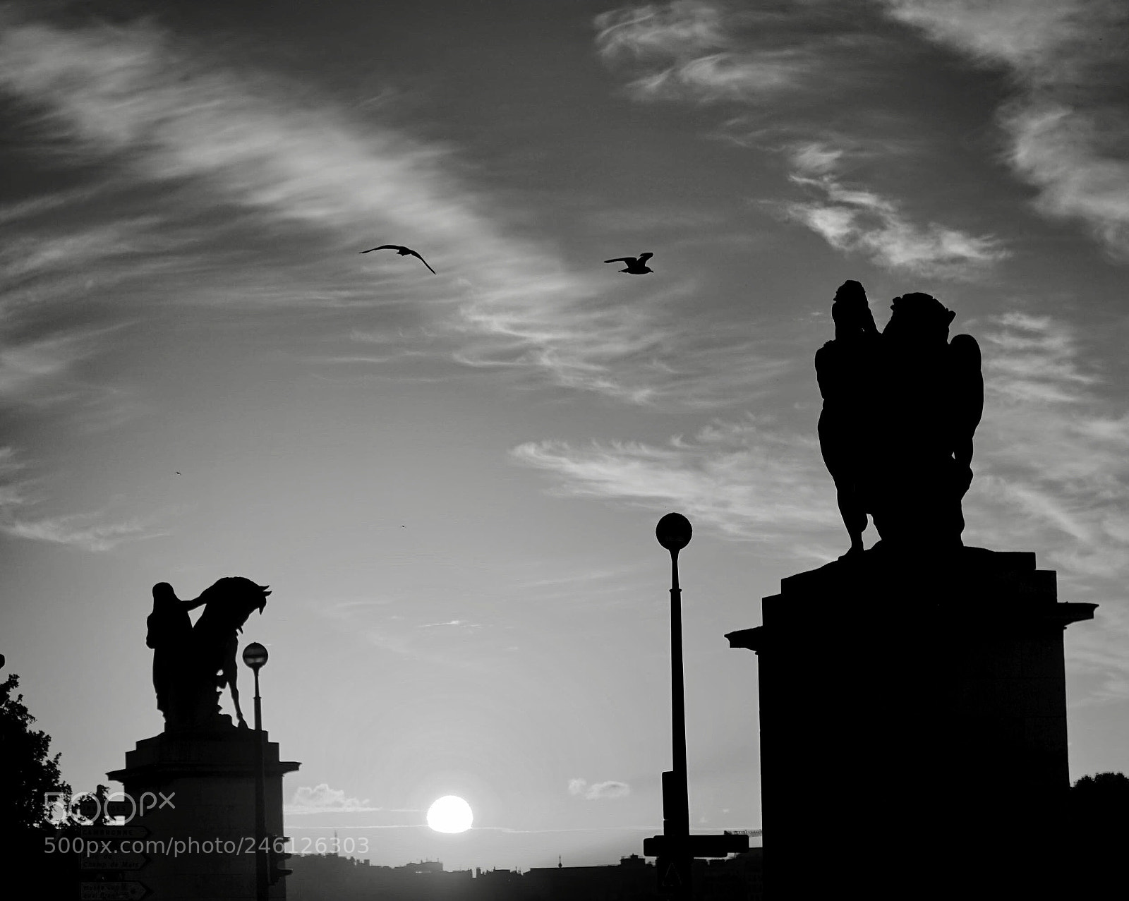 Sony a6300 sample photo. Seagulls enjoying sun rise photography