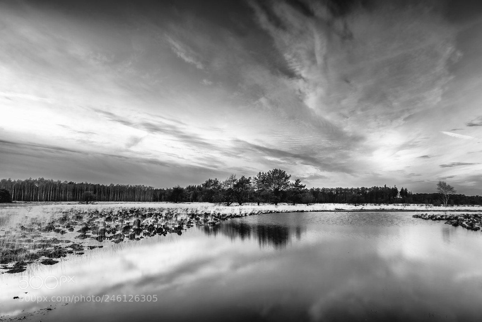 Nikon D810 sample photo. Reflections photography