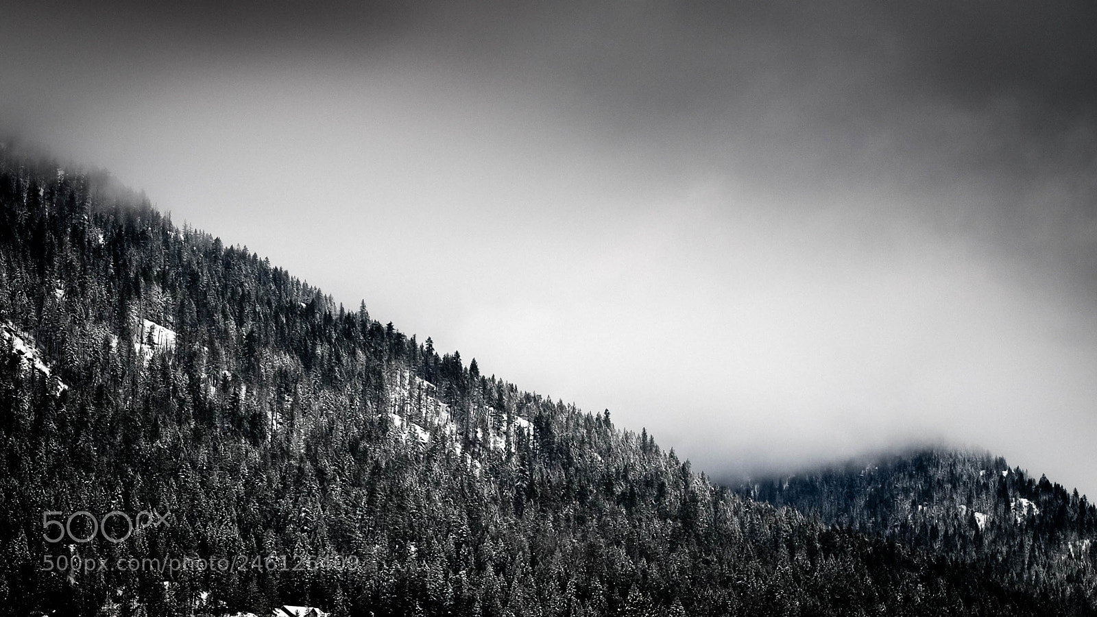 Fujifilm X-T10 sample photo. Untitled photography