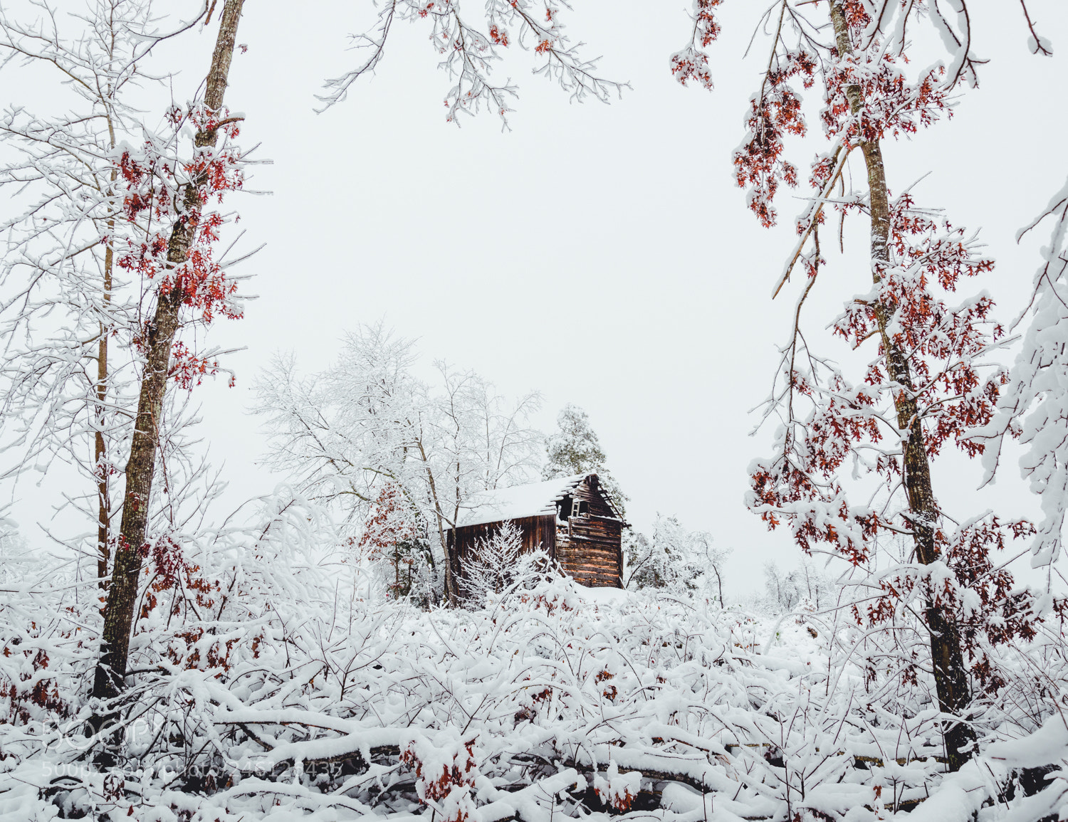 Nikon D600 sample photo. Old tobacco barn photography