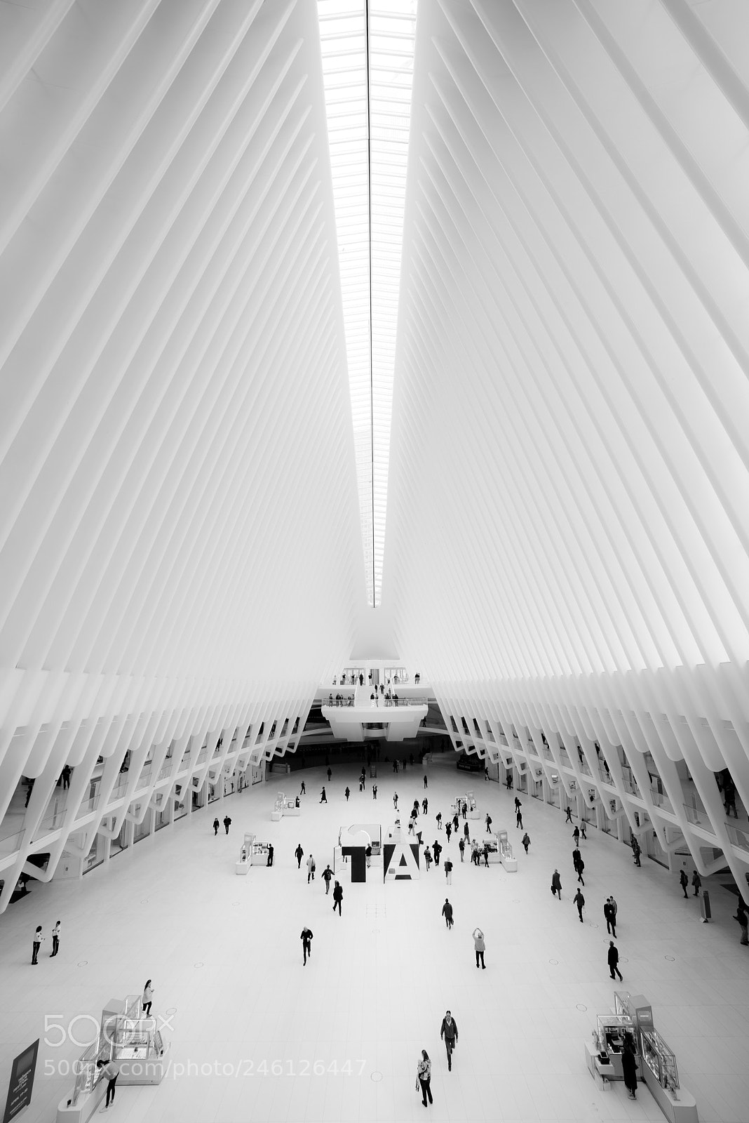 Nikon D810 sample photo. Oculus photography