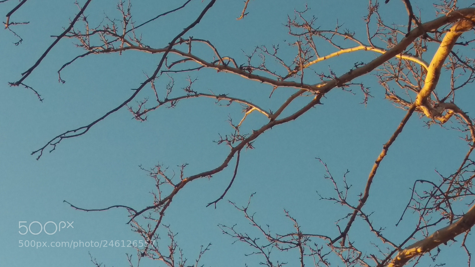 HTC ONE M9 sample photo. A sky within reach photography