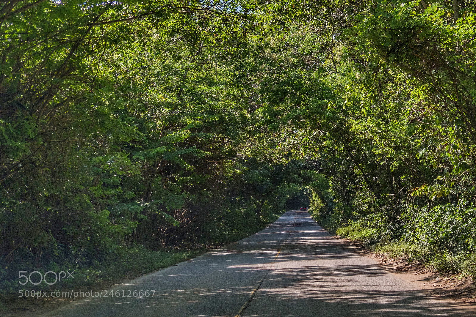 Fujifilm X-T2 sample photo. Túnel photography