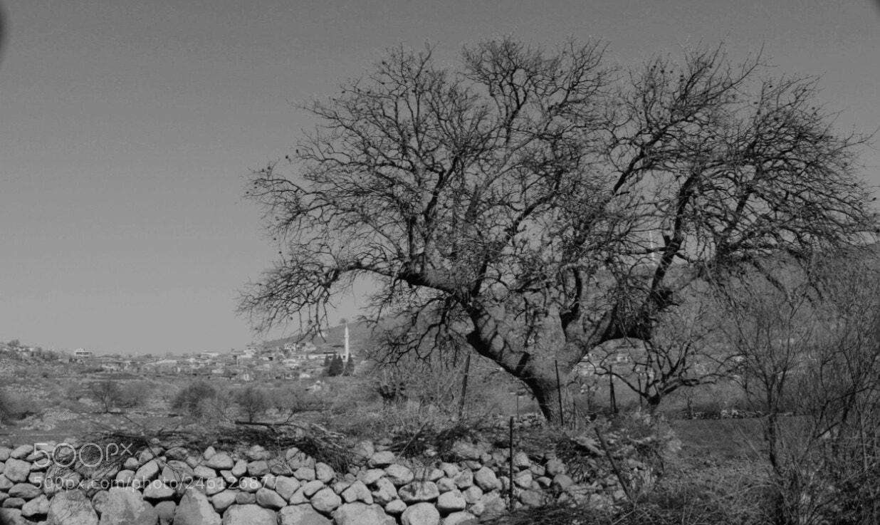 Canon EOS 650D (EOS Rebel T4i / EOS Kiss X6i) sample photo. Village.. photography