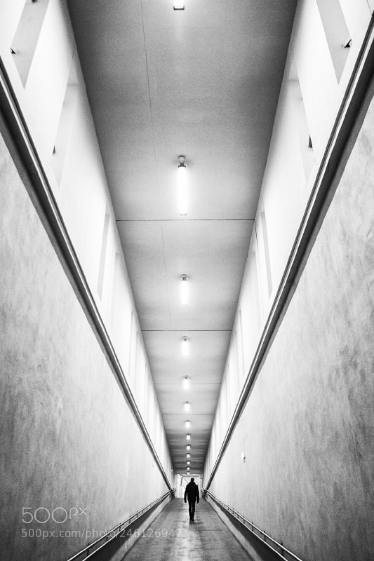 Canon EOS 60D sample photo. . photography
